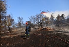 Σαλαμίνα: Συνελήφθη 40χρονος που έκανε πάρτι σπίτι του για εμπρησμό από αμέλεια 