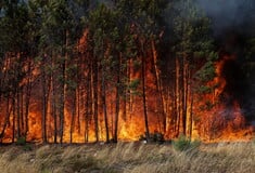 Πορτογαλία: Ανήλικος ομολόγησε πως έβαλε σκόπιμα αρκετές φωτιές 