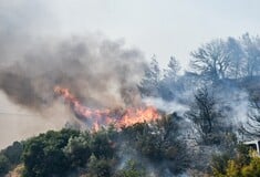 Φωτιά τώρα στο Σύνδενδρο Γρεβενών: Εστάλη 112 