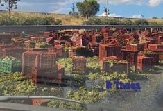 ΣΤΑΦΥΛΙΑ ΤΡΟΧΑΙΟ ΘΕΣΣΑΛΟΝΙΚΗ
