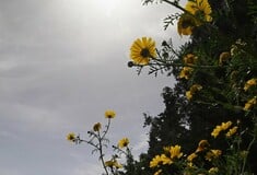 Καιρός - Ζιακόπουλος: Βαρομετρικά χαμηλά φέρνουν ισχυρές βροχές και καταιγίδες τις επόμενες ημέρες
