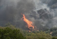 Meteo: Φέτος κάηκαν συνολικά 473.930 στρέμματα - Οι 8 μεγαλύτερες πυρκαγιές του 2025 
