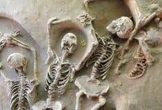 Μόνιμη έκθεση, στο μουσειακό κέλυφος των Δεσμωτών, του Φαλήρου