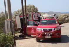 Χαλκιδική: Υπό μερικό έλεγχο η φωτιά στο ελαιοτριβείο 