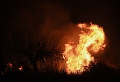 Μεγάλη φωτιά τώρα στη Φθιώτιδα