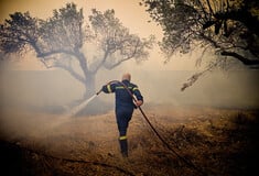 Καλύτερη η εικόνα της φωτιάς στο Πετρωτό Φθιώτιδας
