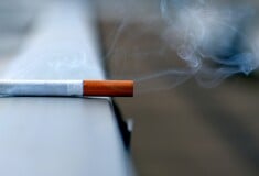 Περιττώματα ζώων, νύχια και μούχλα σε παράνομα καπνικά προϊόντα 