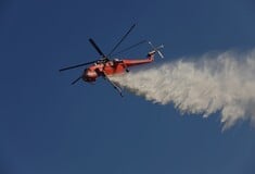 Φωτιά τώρα στη Χαλκιδική - Επιχειρούν εναέρια μέσα