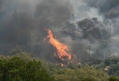 Φωτιά στην Αρκαδία: Επιχειρούν 5 εναέρια μέσα 