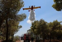 Φωτιά τώρα στην Αχαΐα: Μεγάλη κινητοποίηση της Πυροσβεστικής - «Ήχησε» το 112