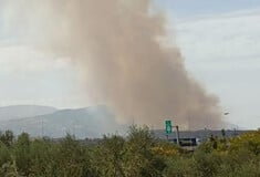 Αχαΐα: Μαίνεται η μεγάλη φωτιά στο Άλσος - Εκκενώνονται Μερτίδι και Λάκκα