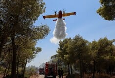 Φωτιά τώρα στην Αλεξανδρούπολη