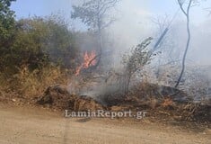 Φωτιά τώρα στα Καμένα Βούρλα στον Άγιο Σεραφείμ