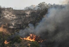 Φωτιά στην Κεφαλονιά: Επιμένει το μέτωπο - 112 και ενισχύσεις στο νησί από τη Κυλλήνη