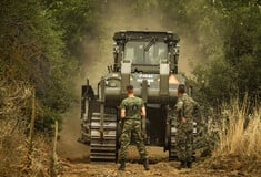 Άμεσα έργα αποκατάστασης στον πυρόπληκτο Φενεό 