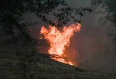 Φωτιά: Συνελήφθη ιερέας για εμπρησμό στο Μαρκοπούλο