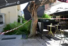 Η ανακοίνωση του Δήμου Αθηναίων για τον τραυματισμό δύο πολιτών από τις πτώσεις δέντρων