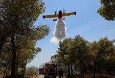 Φωτιά τώρα στην Αργολίδα - Μήνυμα του 112