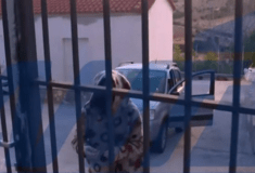 «Νιώθω τεράστια ντροπή» - Το χρονικό της υπόθεσης με την 62χρονη από τη Βοιωτία