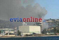 Εύβοια: Φωτιά τώρα στο Μηλάκι - Καίει κοντά σε εργοστάσιο