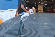 Νεκρός ναυτικός στο Blue Star: Εξετάζεται βίντεο από το δυστύχημα - «Δεμένα» τα πλοία στον Πειραιά από τα μεσάνυκτα