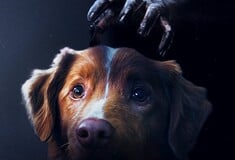 «Good Boy»: Ναι, ο σκύλος σας βλέπει φαντάσματα» ΟΙ ΥΠΟΛΟΙΠΟΙ ΤΙΤΛΟΙ ΣΤΟ ΤΕΛΟΣ ΤΟΥ ΚΕΙΜΕΝΟΥ