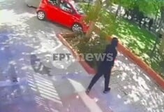 ΠΕΡΙΣΤΕΡΙ ΣΥΜΠΛΟΚΗ ΒΙΝΤΕΟ