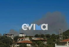 Φωτιά τώρα στην Εύβοια: Κοντά σε σπίτια οι φλόγες 