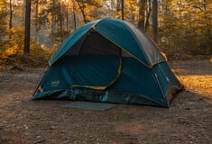 ΦΟΙΝΙΚΟΥΝΤΑ ΔΟΛΟΦΟΝΙΑ ΣΥΜΒΟΛΑΙΟ ΘΑΝΑΤΟΥ ΔΗΜΟΓΛΙΔΟΥ