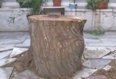 ΔΕΝΤΡΟ ΜΟΝΑΣΤΗΡΑΚΙ