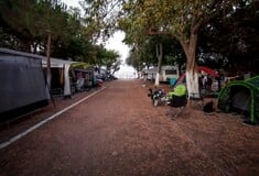 ΦΟΙΝΙΚΟΥΝΤΑ ΔΟΛΟΦΟΝΙΑ ΚΑΜΠΙΝΓΚ