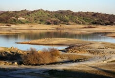Κλιματική κρίση: Η ξηρασία απειλεί τη βρετανική φύση - Σκαντζόχοιροι και πουλιά πεθαίνουν από δίψα