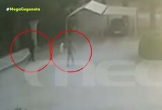 ΦΟΙΝΙΚΟΥΝΤΑ ΔΟΛΟΦΟΝΙΑ ΚΑΜΠΙΝΓΚ