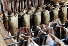 Ευρωπαϊκά χέλια: Οικολογική κρίση και λαθρεμπόριο