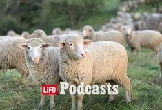 «Ο φραπές, ο χασάπης και η Πόπη με τη Φεράρι»: Γιατί κανείς δεν θέλει να γίνει αγρότης