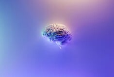 CHATGPT OPENAI