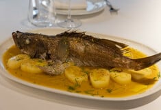 Όχι άλλη σφυρίδα!