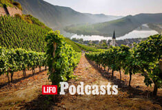 Pfalz: Η νέα δύναμη του Riesling και του Pinot Noir, που «ταράζει» την Ευρώπη