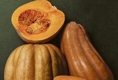 Τώρα που πέρασε το Halloween, ας μιλήσουμε για κολοκύθες