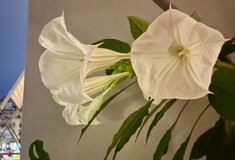 Ο χάρτης μου τώρα