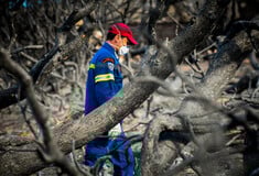 ΠΑΣΟΚ: Ζητά αποκατάσταση της άνισης μεταχείρισης των θυμάτων και συγγενών της τραγωδίας στο Μάτι