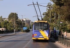 ΦΩΤΙΑ ΤΩΡΑ ΤΡΟΛΕΙ ΒΑΣΙΛΙΣΣΗΣ ΣΟΦΙΑΣ