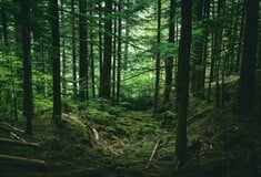 Πώς και πού θα αποθηκεύεται το διοξείδιο του άνθρακα;