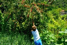 « Βγαίνω από το σπίτι μου το πρωί και πηγαίνω με ευχάριστη διάθεση στη δουλειά»