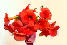 Εγώ τις νύχτες δεν τις ήξερα 