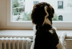 ΕΠΙΔΟΜΑ ΘΕΡΜΑΝΣΗ ΠΟΣΟ ΑΙΤΗΣΗ