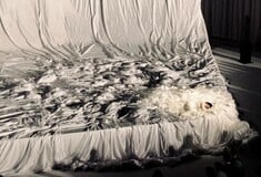 Η ποπ κοσμογονία της Rosalía/ Η κοσμογονική ποπ της Rosalía