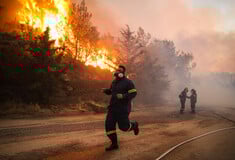 Νέα έκθεση WWF: Το 2025 ανάμεσα στις χειρότερες χρονιές για τις δασικές πυρκαγιές στην Ελλάδα