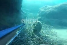 Ηράκλειο: Ψαροντουφεκάς εντόπισε ανθρώπινο άγαλμα στον βυθό