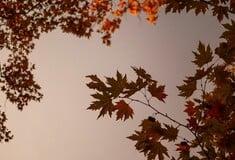 ΚΑΙΡΟΣ ΚΑΚΟΚΑΙΡΙΑ ΣΗΜΕΡΑ ΒΡΟΧΕΣ